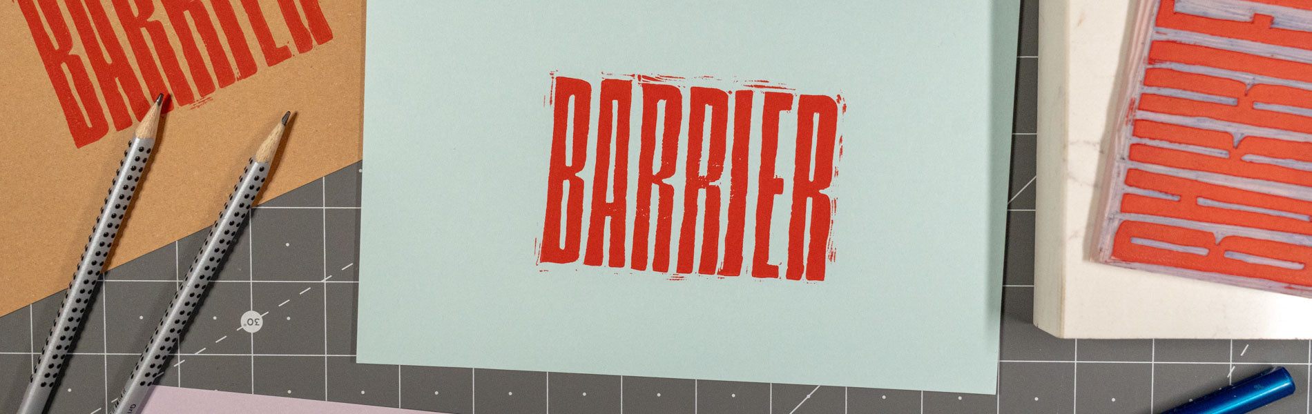 Veterinary care without barriers: The Modern Animal approach