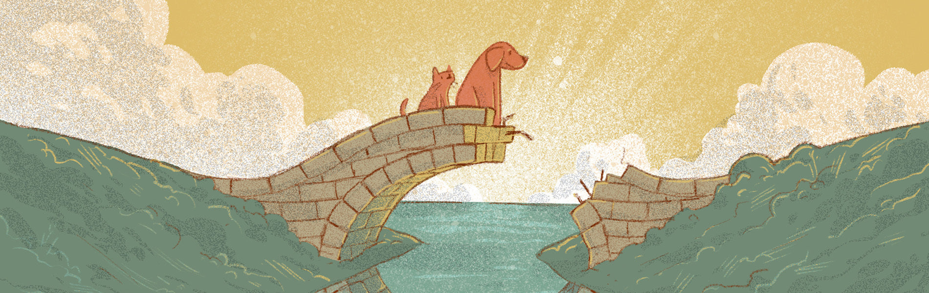 A widening gap in pet care: Could VPAs build a bridge?