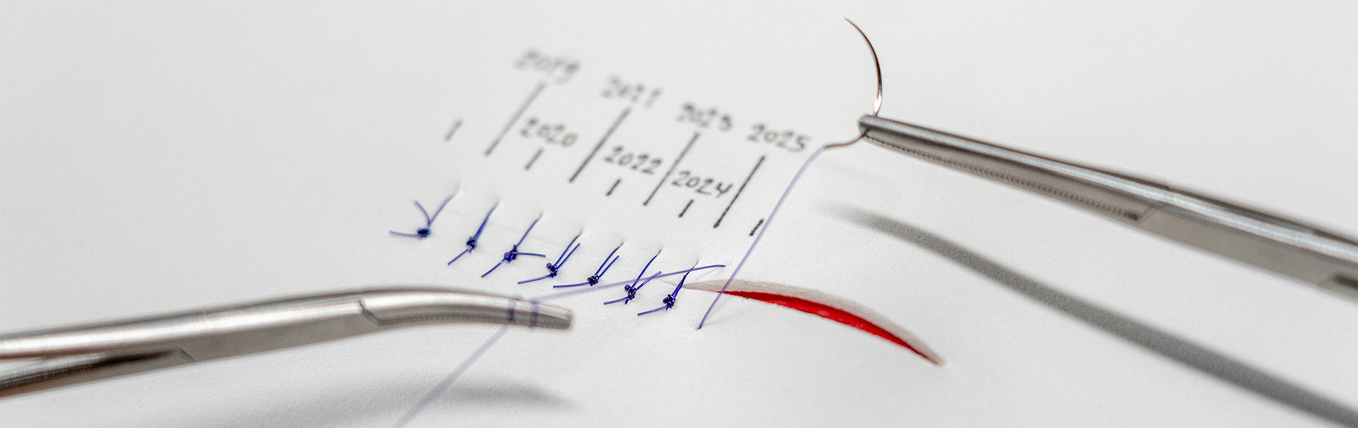 Timeline: The veterinary midlevel movement