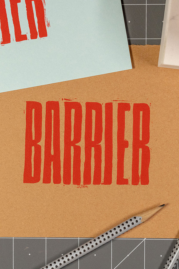Veterinary care without barriers: The Modern Animal approach