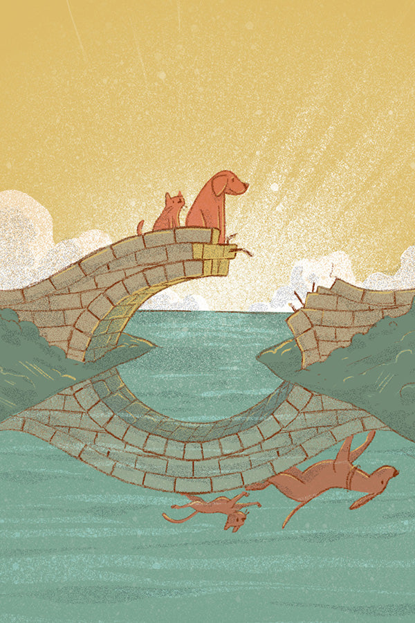 A widening gap in pet care: Could VPAs build a bridge?