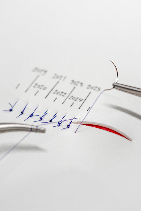 Timeline: The veterinary midlevel movement
